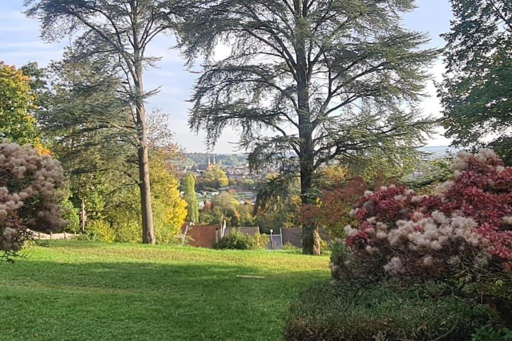 Loft Les Deux Cedres Avec Vue Panoramique Charleville-Mezieres
