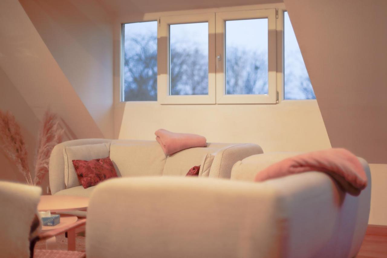 Loft Les Deux Cedres Avec Vue Panoramique Apartment Charleville-Mezieres